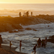 Cape Town’s popular tourist beaches are vulnerable to climate change’s impact.
